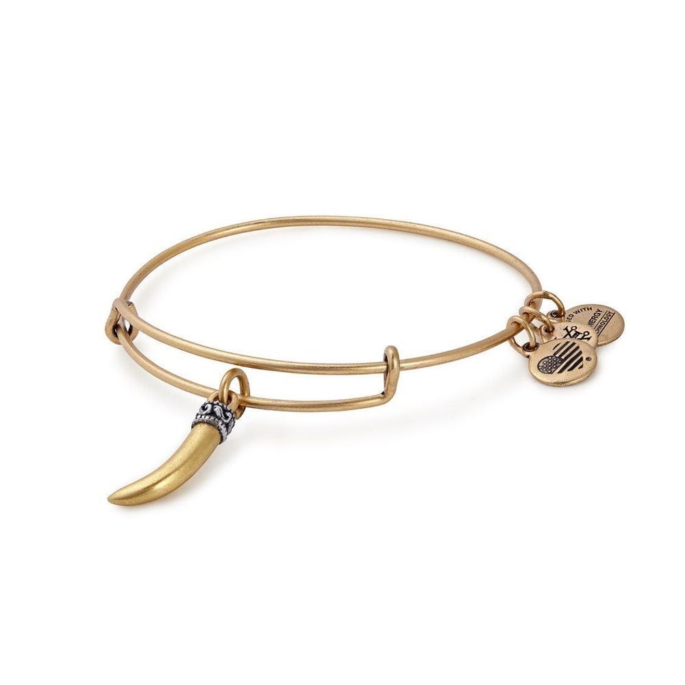 Alex and Ani Horn Charm Rafaelian Gold Bracelet